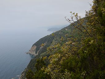 Cape of Mesco - Levanto