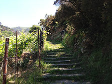 Calea # 3 - Drumul spre sanctuar